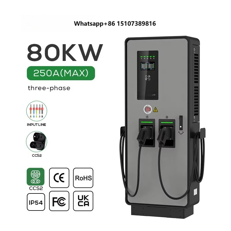 Ev Charging Pile - デュアルDC EV充電器 40kw 80kw CCS2 DC